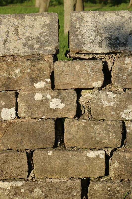 Stone Wall Repair in Bulverde, TX
